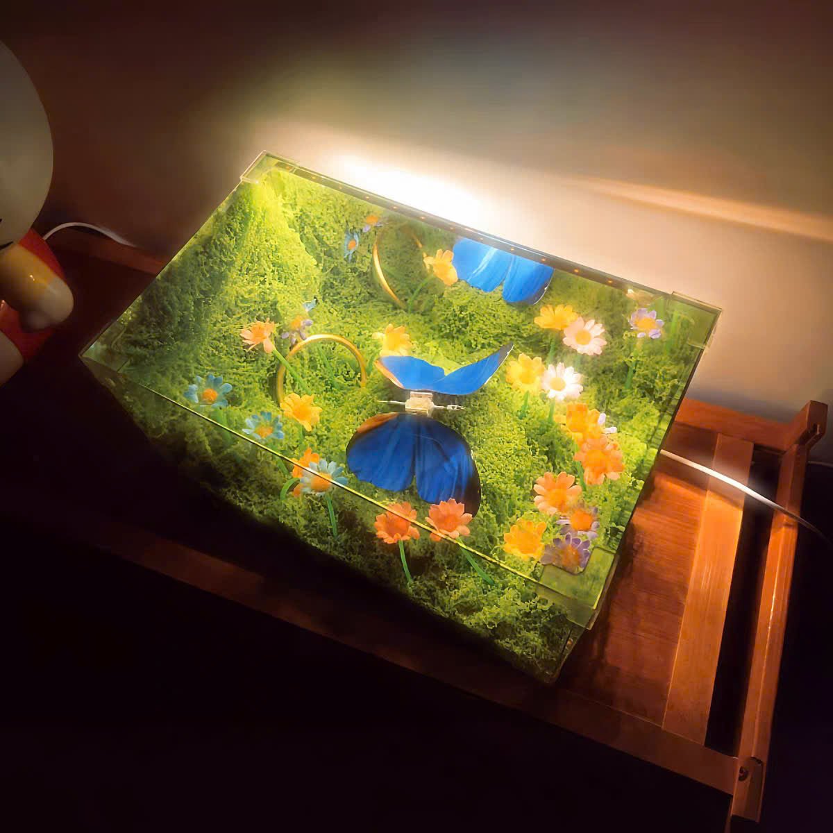 🦋 Spring Butterfly Cube LED Night Light DIY Craft Kit - WonderWonders