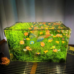 🦋 Spring Butterfly Cube LED Night Light DIY Craft Kit - WonderWonders