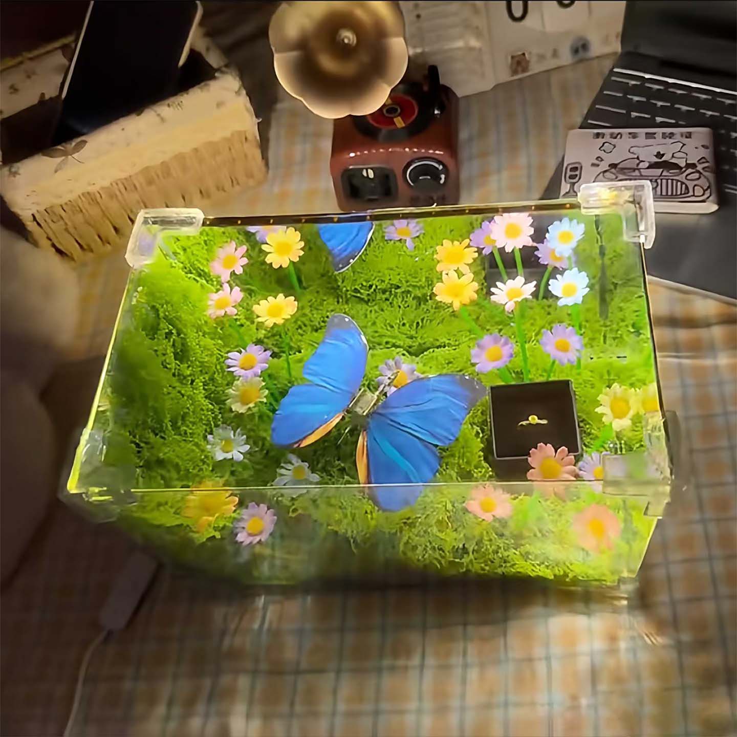 🦋 Spring Butterfly Cube LED Night Light DIY Craft Kit - WonderWonders