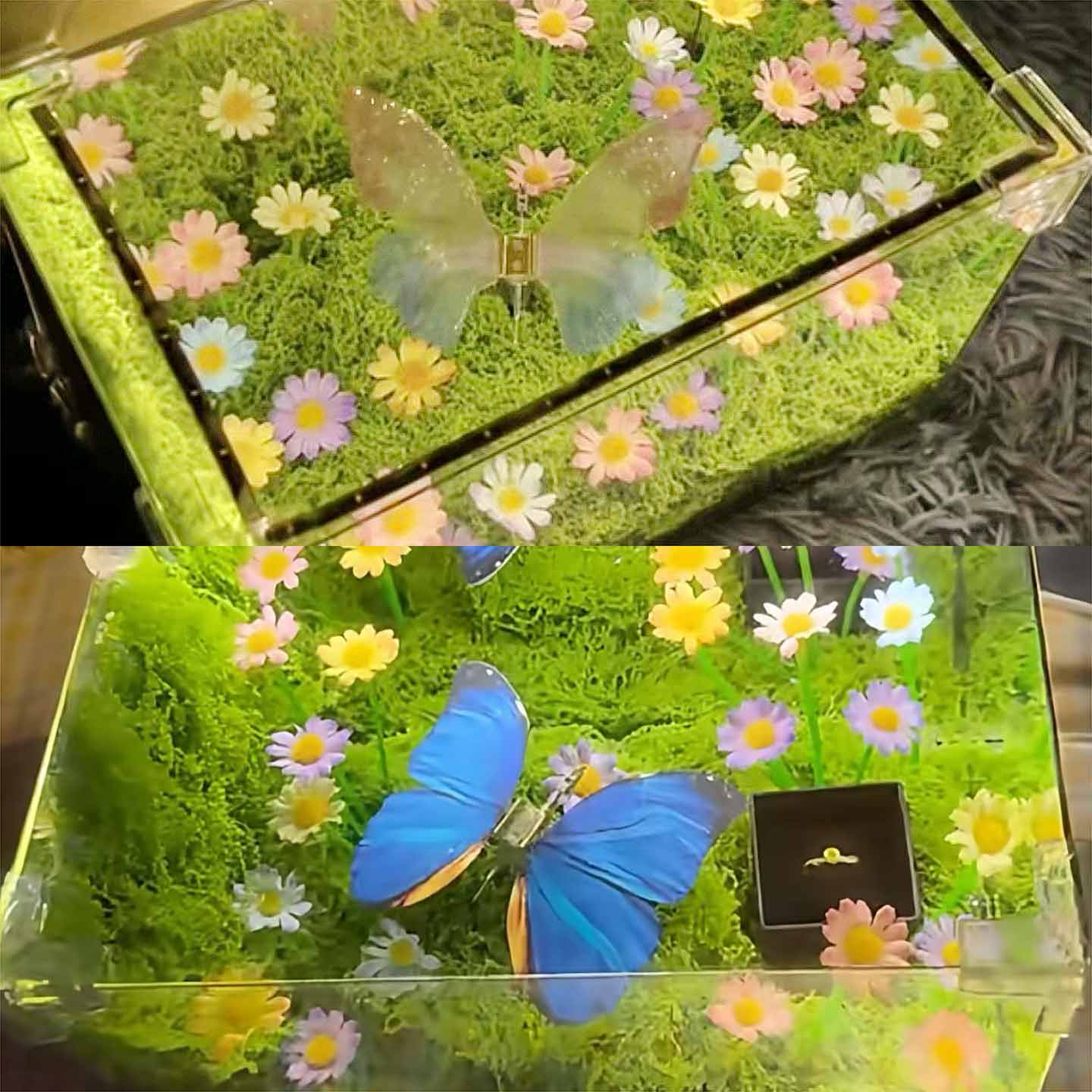 🦋 Spring Butterfly Cube LED Night Light DIY Craft Kit - WonderWonders